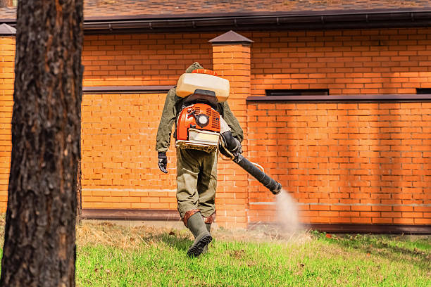 Bed Bug Clearance Verification and Documentation in Oak Park